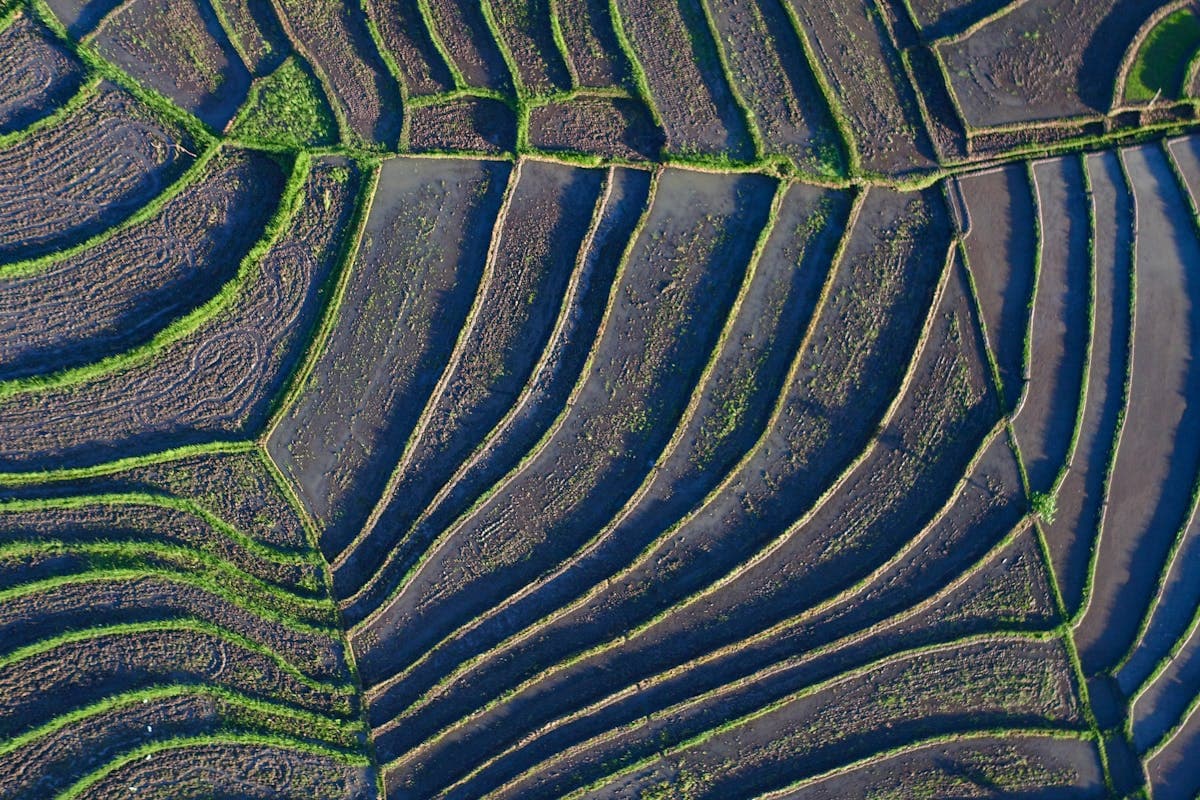 Bali Travel Guide for First Timers — What You Actually Need to Know