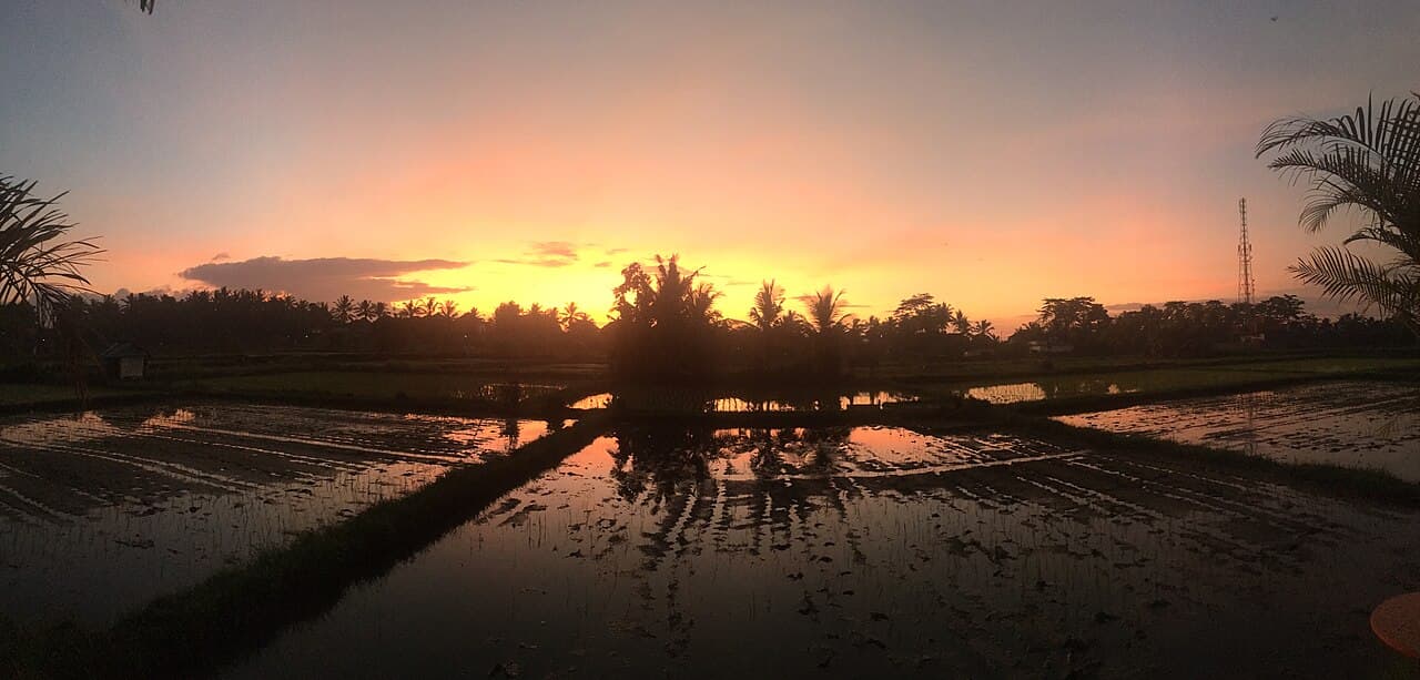 Décalage Horaire Bali-France 2026 — Heure, Jet Lag & Conseils Pratiques