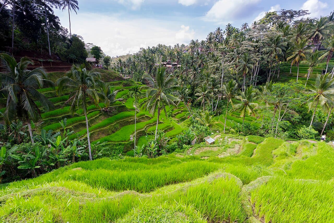 Itinerary Bali 2026: Panduan Lengkap 3D2N, 5D4N & 7D6N