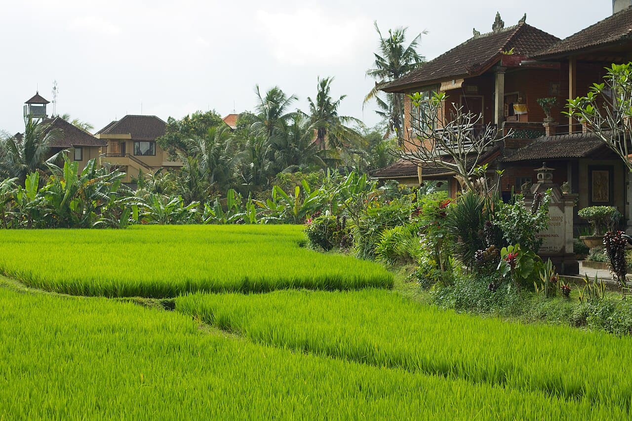 Vaccins Bali 2026 — Guide Complet par une Famille de Guides Certifiés