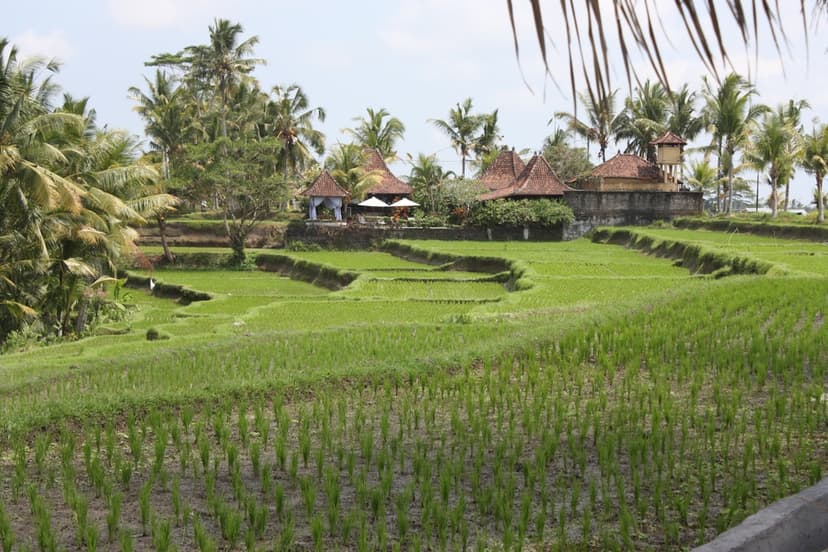 Ubud