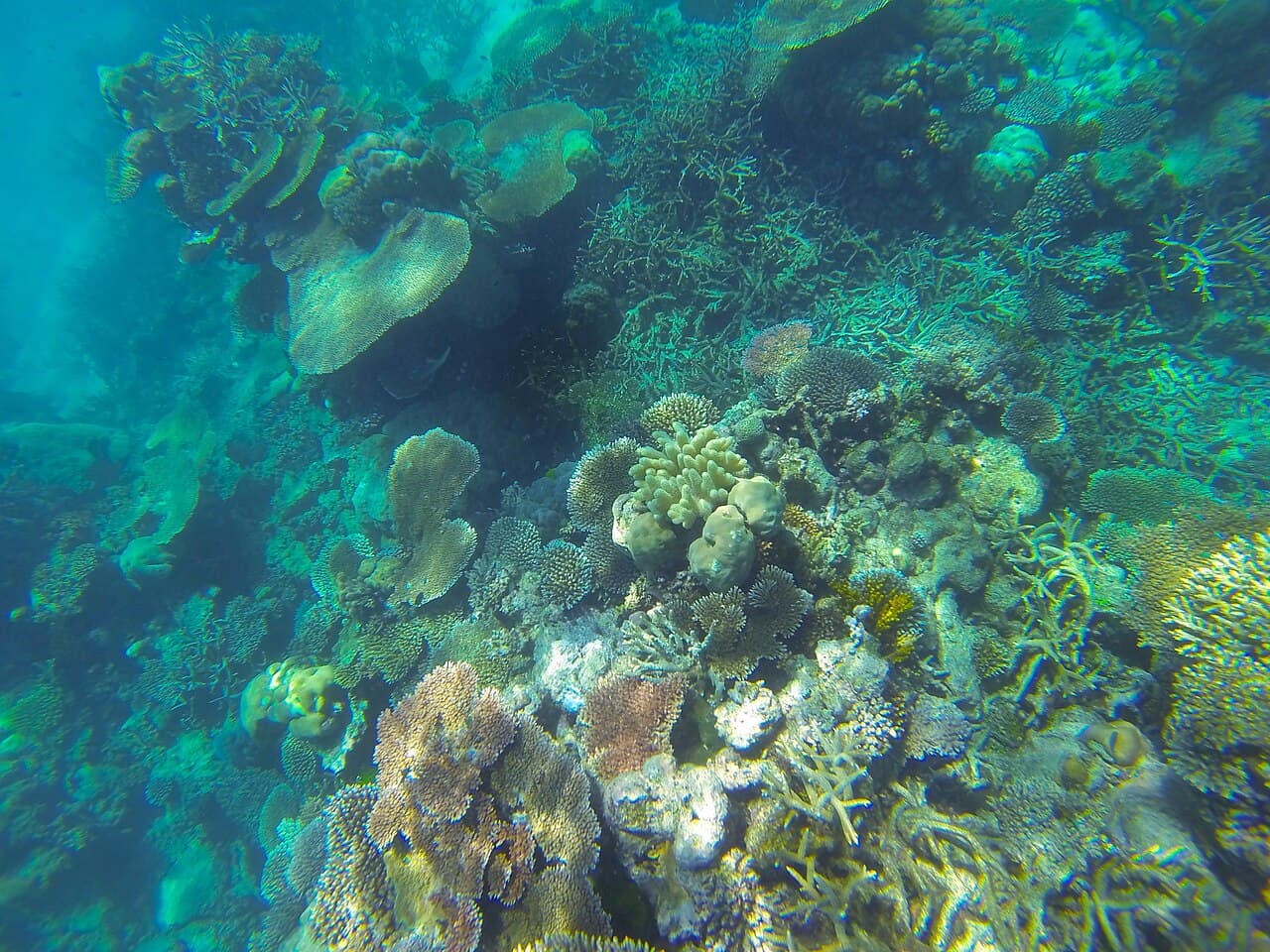 Bali Snorkeling Tours — Ohana Bali