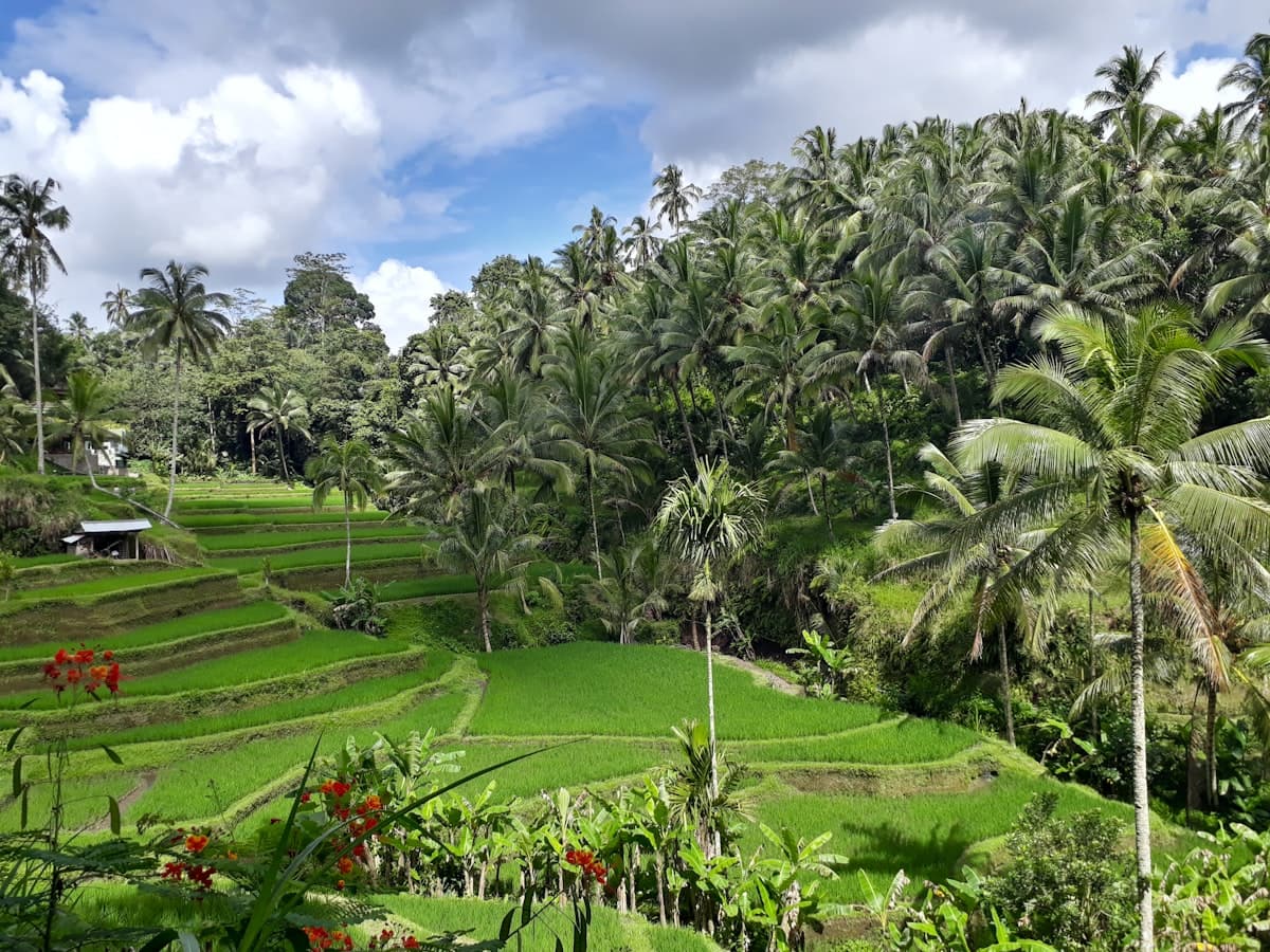 Activités à Bali 2026 : Que Faire, Excursions et Sorties par Zone