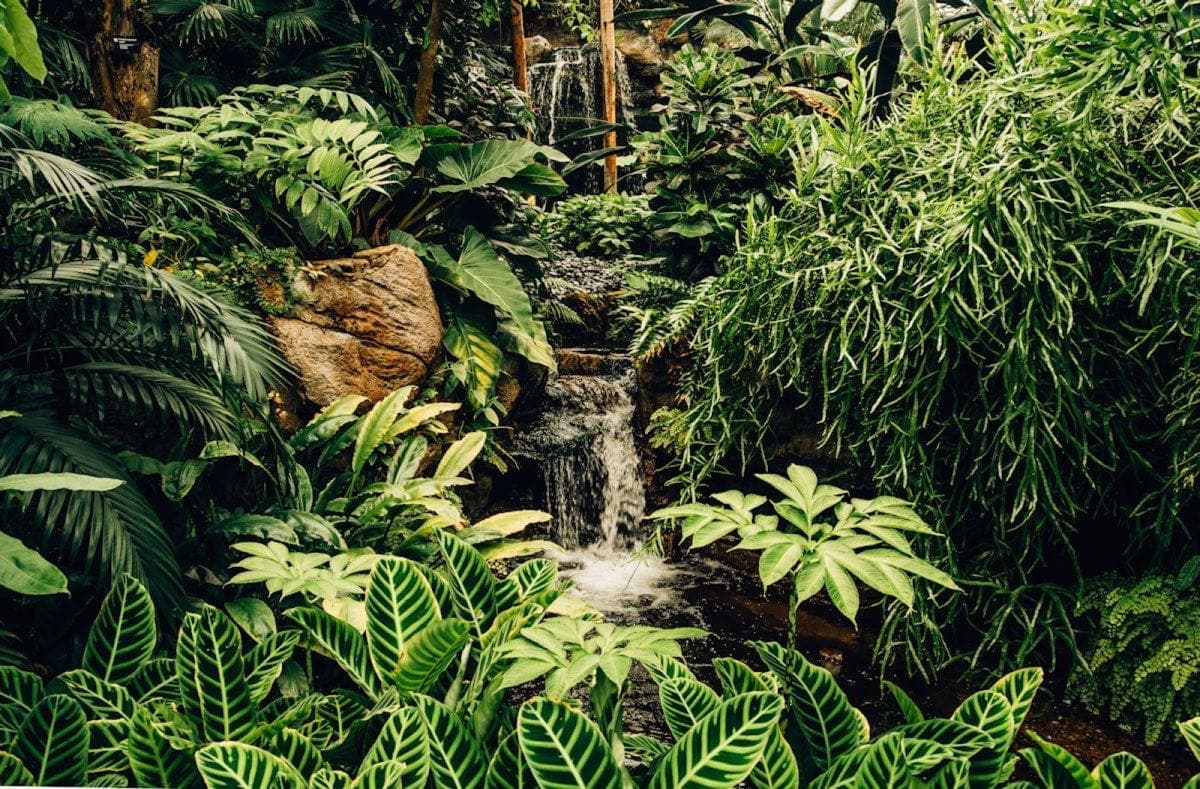 Air Terjun Munduk 2026: Panduan Lengkap 5 Air Terjun, Tiket & Trekking