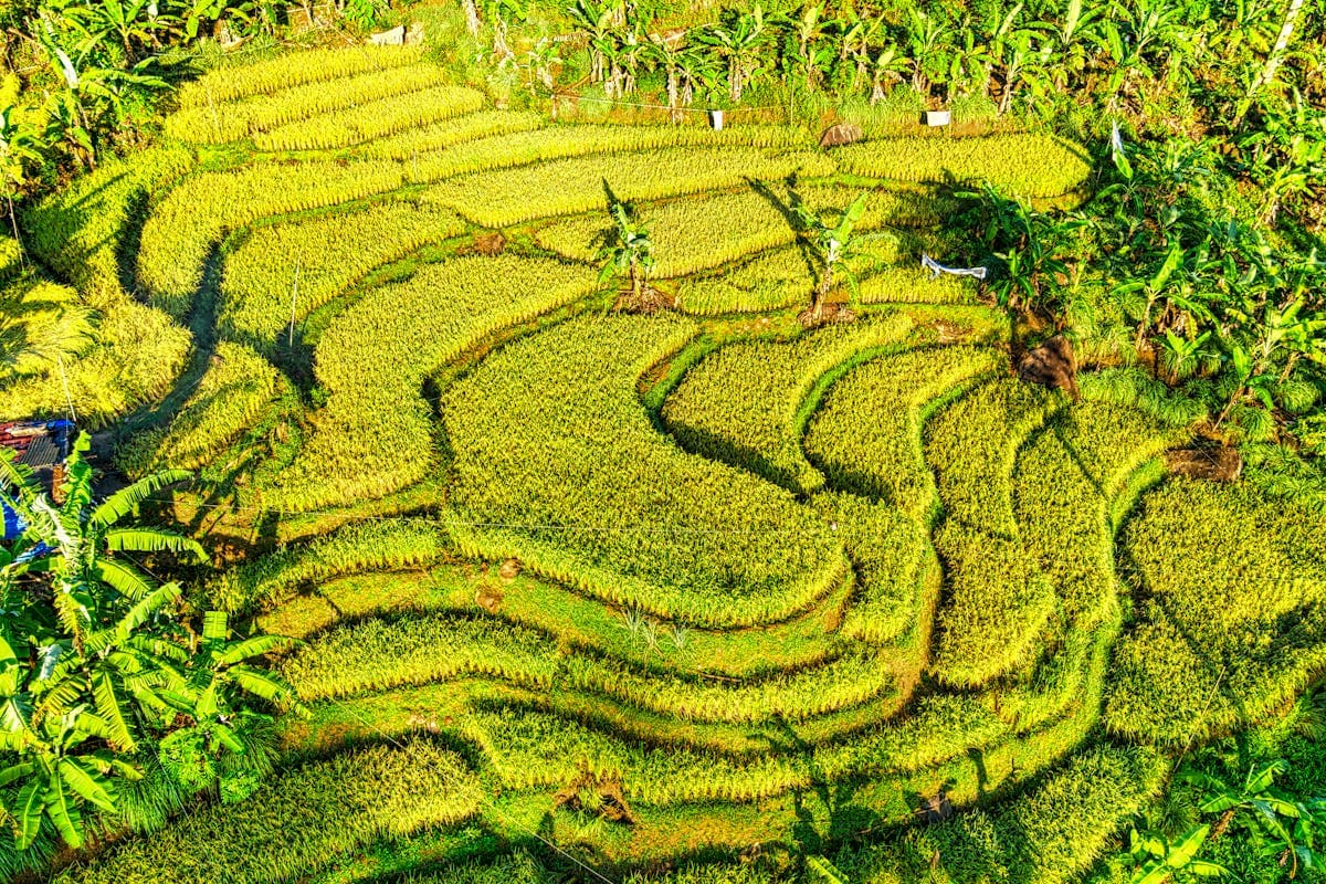 Itinerary Bali 10 Hari — Pengalaman Pulau Lengkap