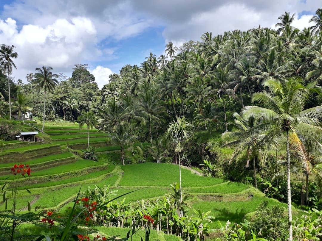 Itinéraire Bali 7 Jours — Recommandation d'un Guide Local