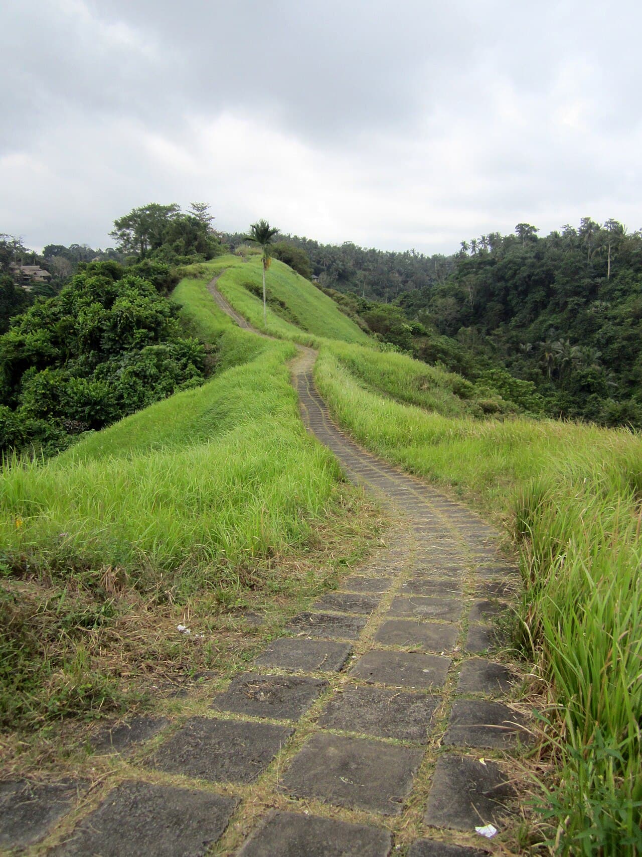 Bali Solo Travel 2026 — From $27/Day, By Certified Guide