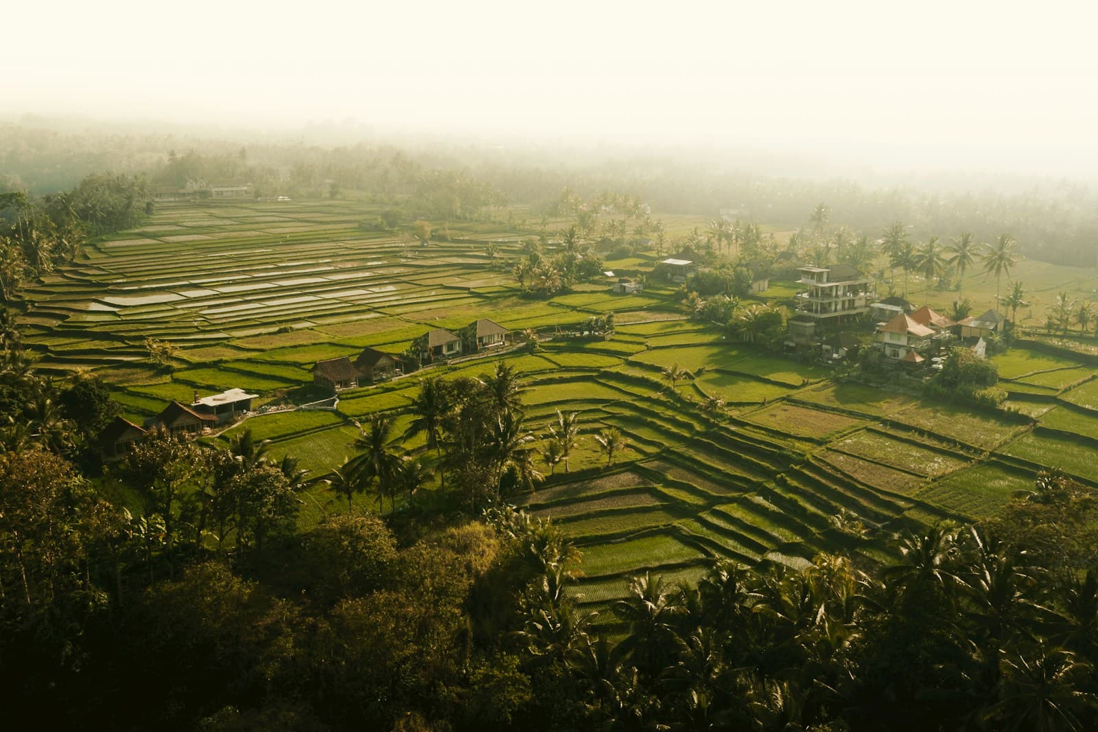 Budget Voyage Bali 2026 — Combien Coûte Vraiment un Séjour ?