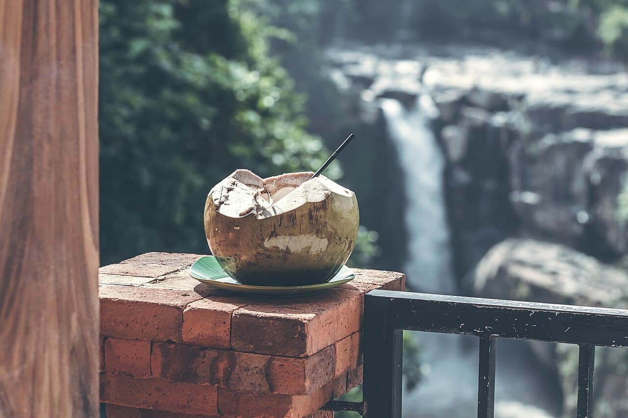 Cascade de Sekumpul Bali 2026 — Guide Complet par une Guide Francophone
