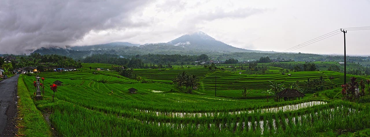 Circuit Bali 15 Jours : Itinéraire Jour par Jour par un Guide Francophone