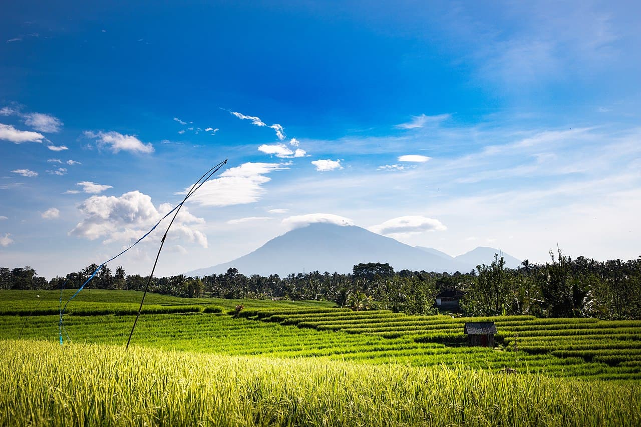 Météo Bali 2026 — Climat, Saisons des Pluies & Températures Mois par Mois