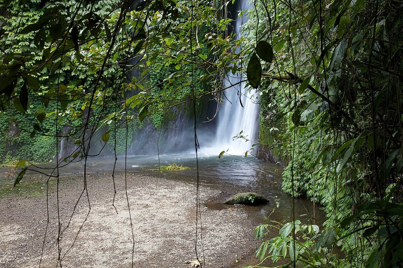 Munduk Bali 2026 — Panduan Lengkap Air Terjun, Trekking & Penginapan dari Pemandu Lokal