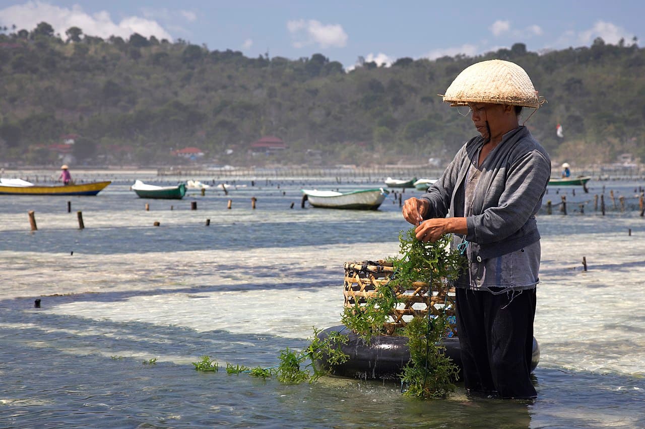 Nusa Lembongan 2026 — A Local Guide to Bali's Best Island Day Trip