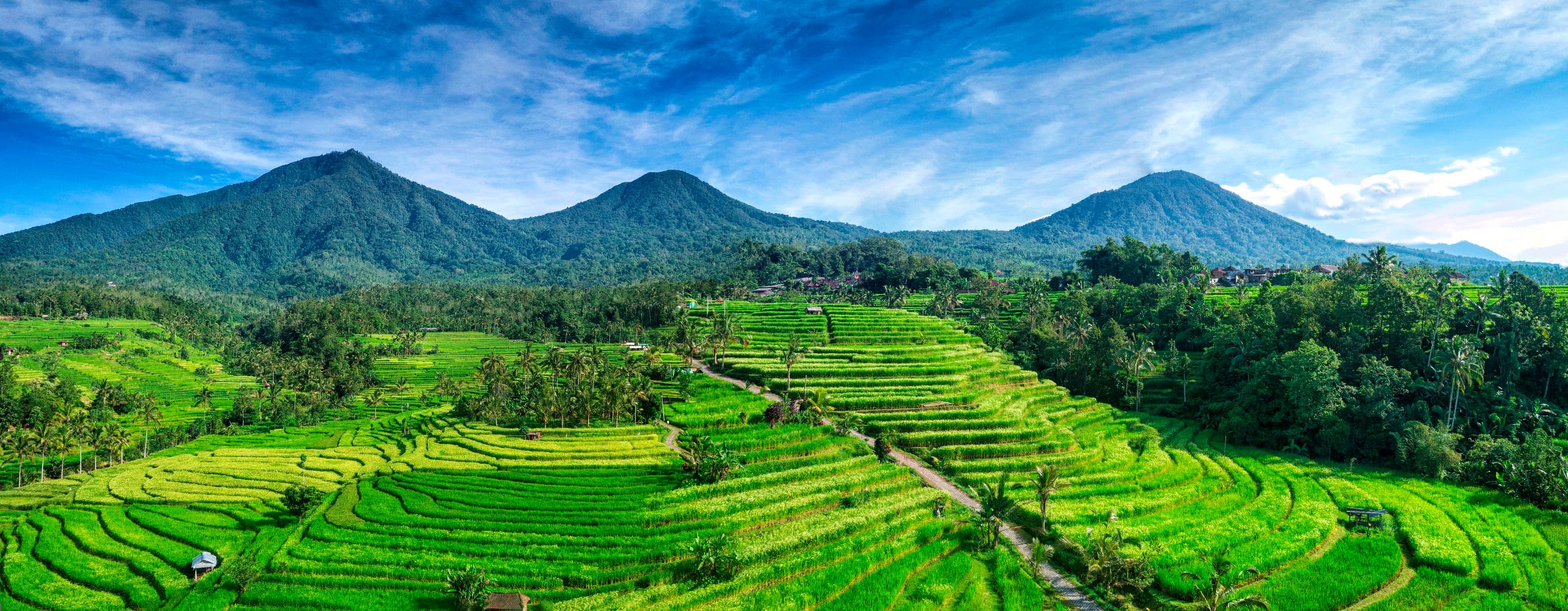 Tempat Wisata di Bali 2026: Panduan Lengkap dari Pemandu Lokal