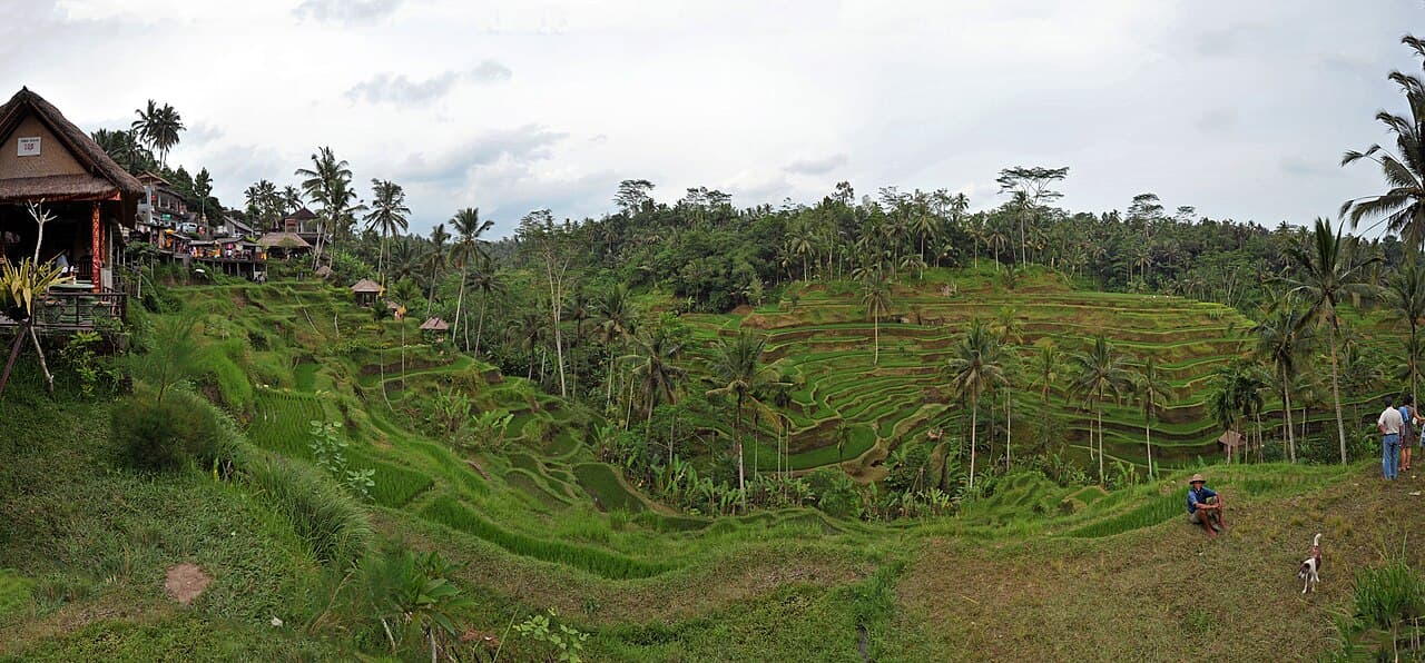 Voyage à Bali 2026 — Le Guide Complet par une Guide Francophone