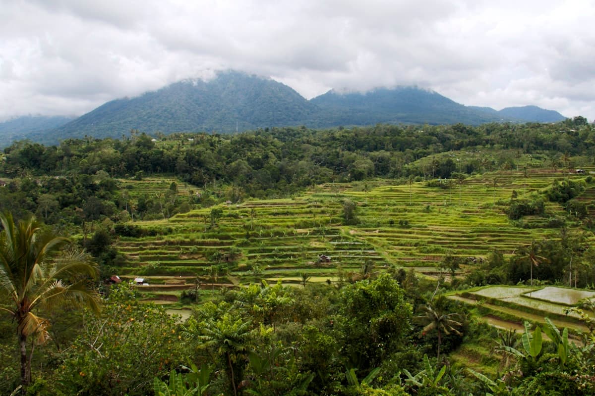 Wisata Alam Bali 2026: Air Terjun, Gunung & Sawah dari Pemandu Lokal
