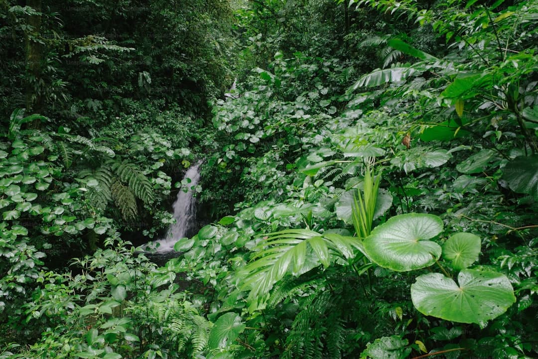 Munduk