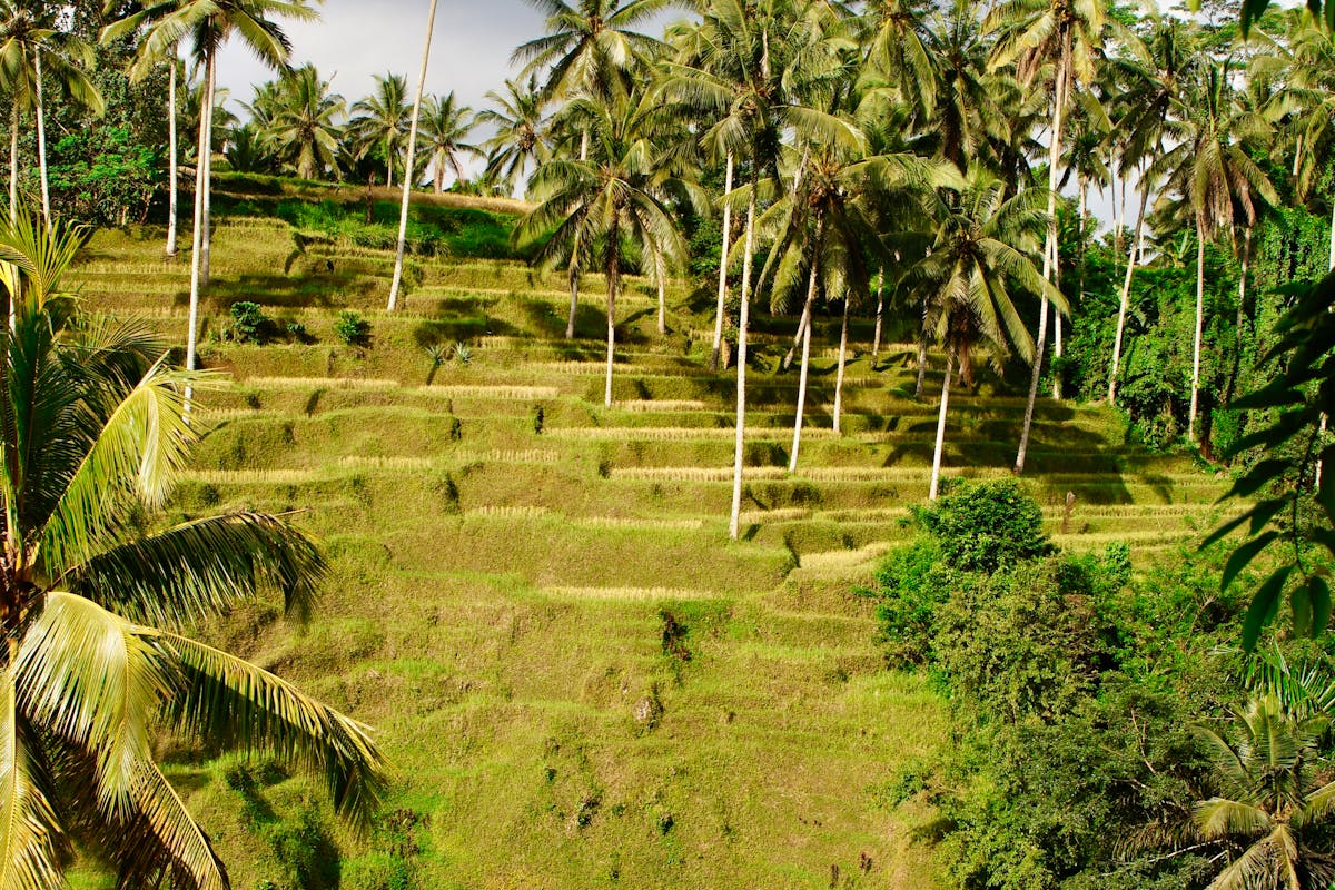 How Many Days in Bali? The Honest Answer From a Local Guide