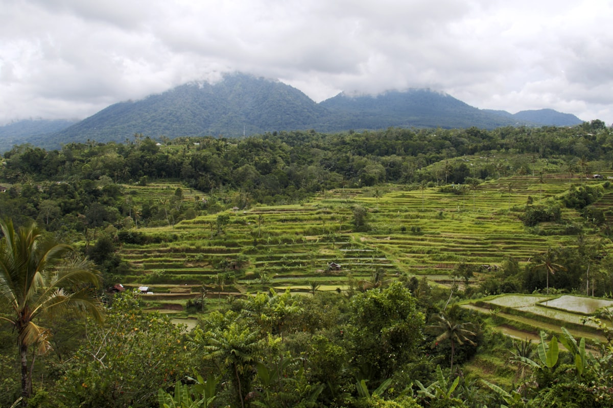 Wisata Alam Bali 2026: Air Terjun, Gunung & Sawah dari Pemandu Lokal